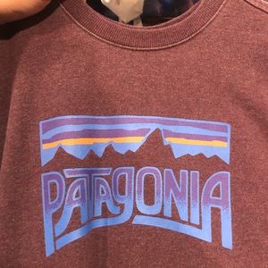 Patagonia Sweatshirt